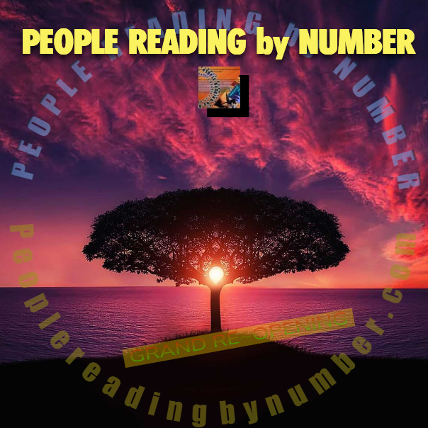 peoplereadingbynumber.com